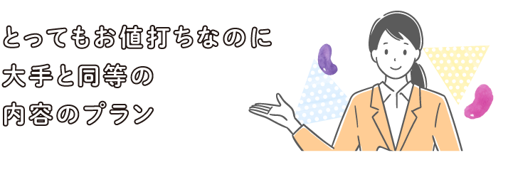 とってもお値打ちなのに大手と同等の内容のプラン